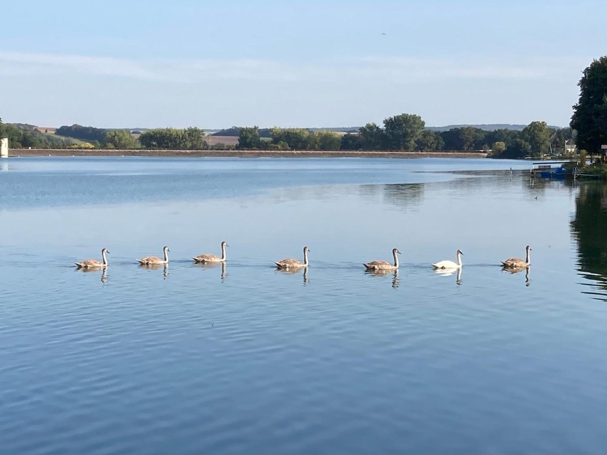 Campingfass Mit Panoramaterrasse Langenbernsdorf ภายนอก รูปภาพ